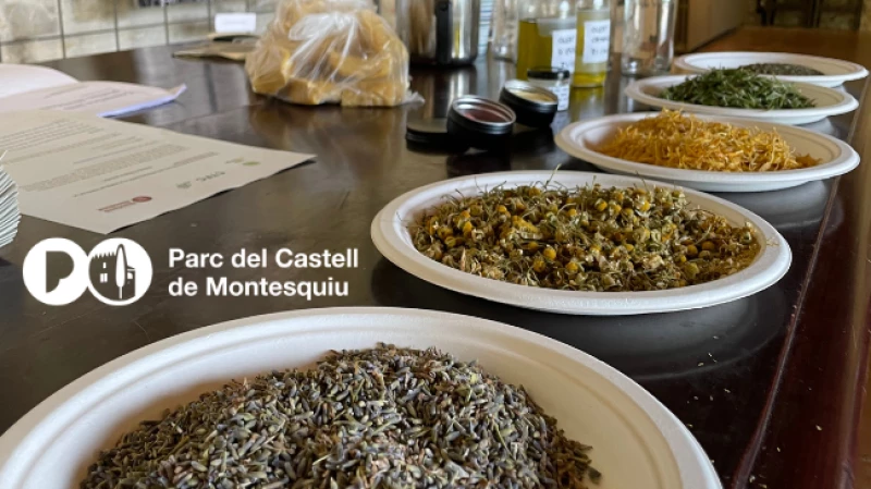 Cosmètica amb plantes silvestres